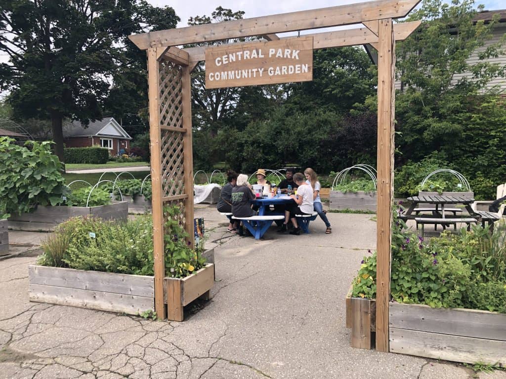 Image of raised garden beds surrounding a table of volunteers at central park community garden.