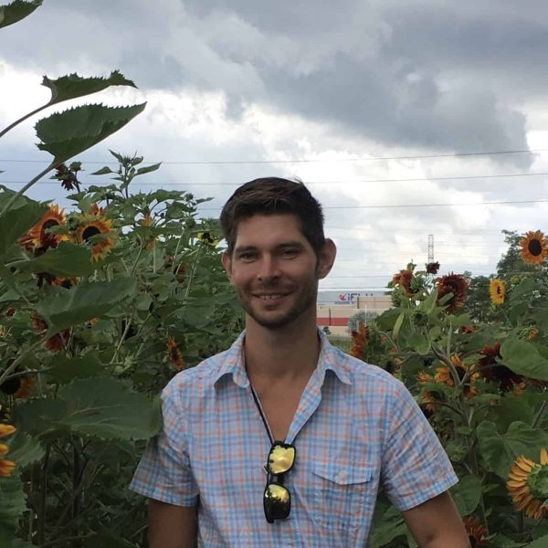 adiansunflowers